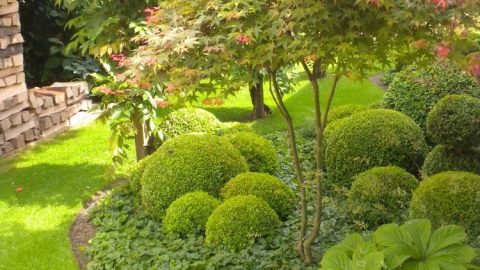 L’arrosage de votre jardin, un besoin primordial avec les températures qui augmentent !