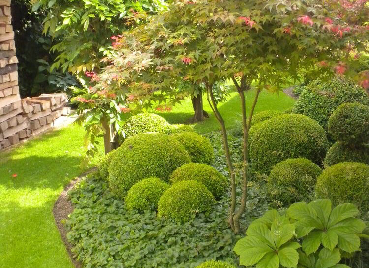 L’arrosage de votre jardin, un besoin primordial avec les températures qui augmentent !