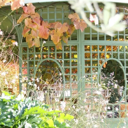 Pergola