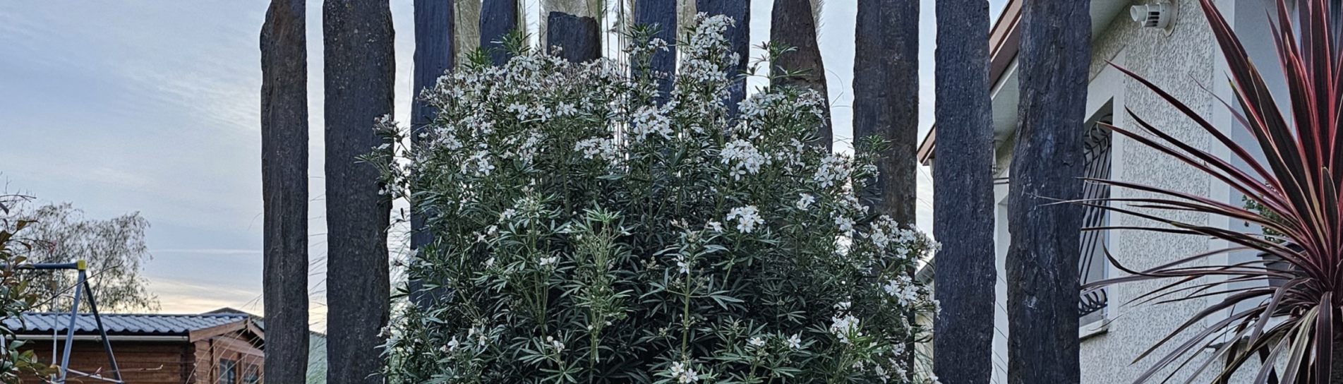Clôture en bois, ganivelle ou haie variée